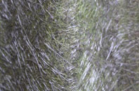 Kingston Lisle fibreglass roof work